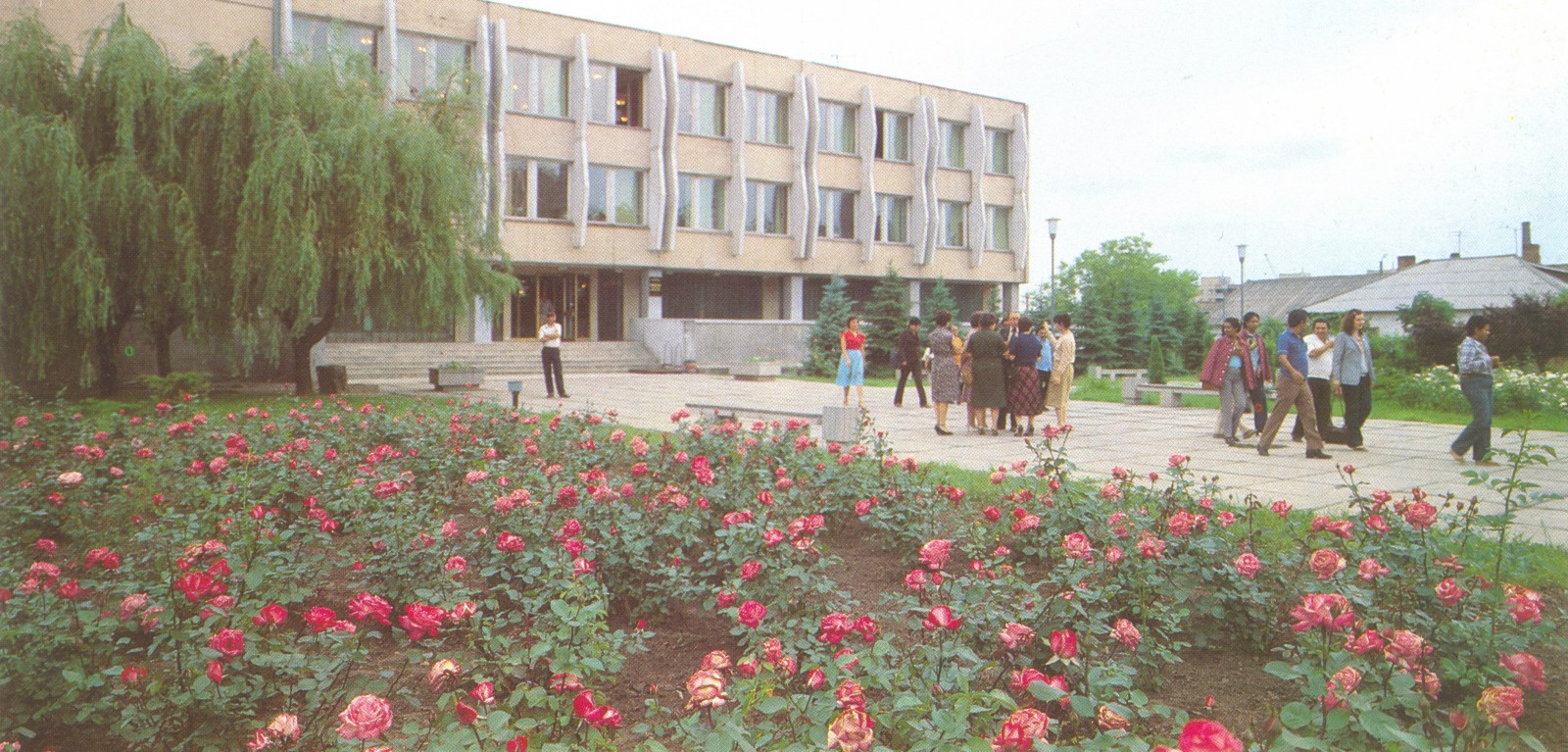 Городская библиотека